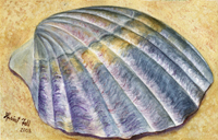 Watercolor of scallop shell
