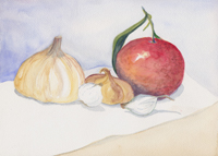 Watercolor of garlic