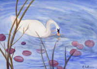Watercolor of swan