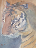 Watercolor of a tiger