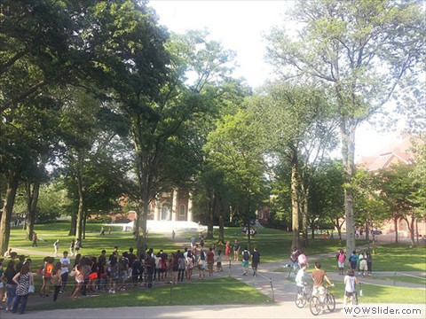 Sunny Afternoon at Harvard